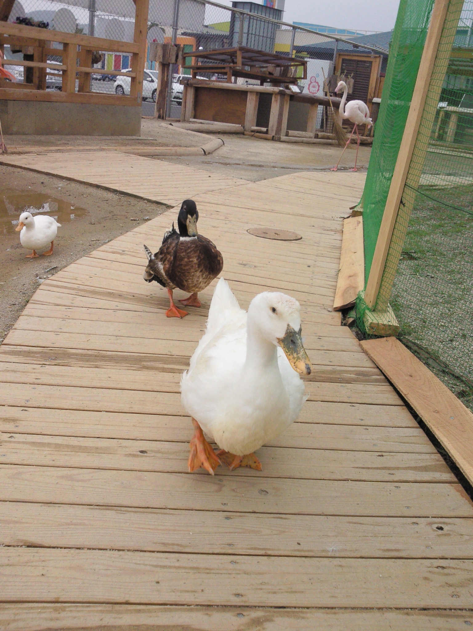 http://www.sin-ei-kanri.co.jp/blog/mt-img/NEC_1151.JPG