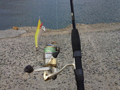 NEC_0056.JPG