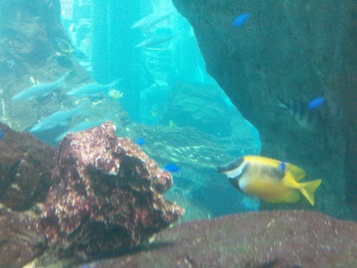DSC_0140.JPG