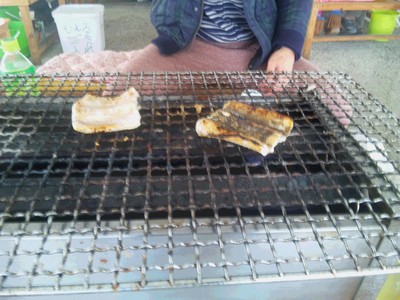 アナゴ.JPG