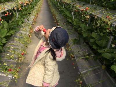 IMG_0248 - コピー.JPG