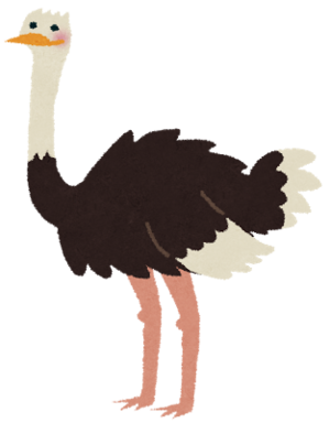 ダチョウ.png