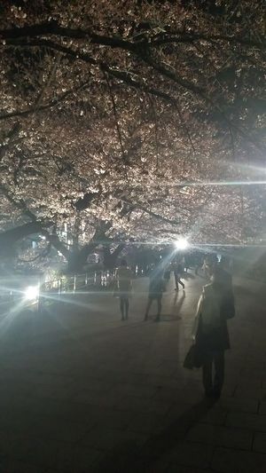 ④下り.JPG