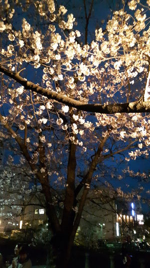 20170405_190448.jpg