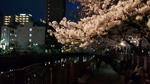 20170405_190829.jpg