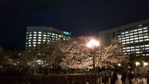 20170405_191250.jpg