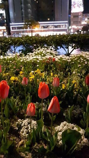 20170405_192453.jpg