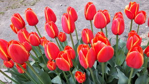 20170407_170520.jpg