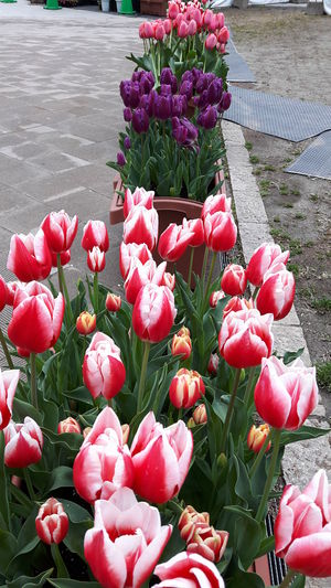 20170407_170636.jpg