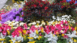 20170407_171426.jpg
