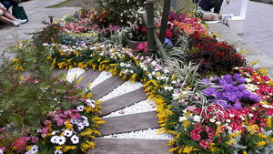 20170407_171459.jpg