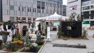 20170407_172339.jpg