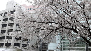 20170407_174445.jpg