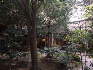 IMG_5926.JPG