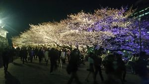 IMG_6073.JPG