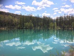 青の池.JPGのサムネイル画像