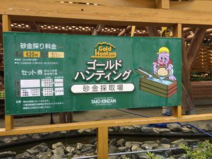 IMG_2868.JPG