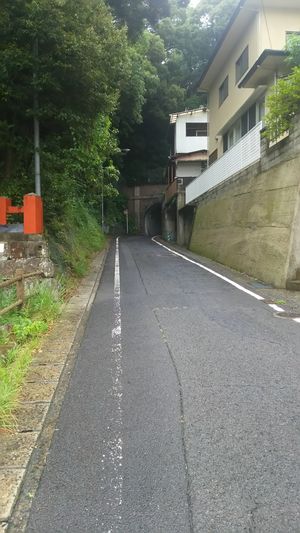 トンネル.JPG