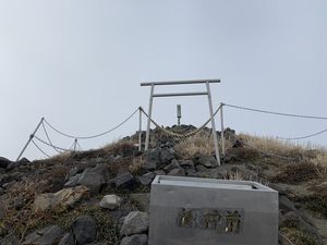 IMG_4732.JPG