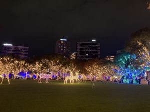 天神中央公園前.JPG