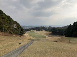IMG_8090.JPG
