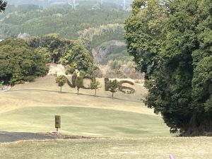 IMG_8116.JPG