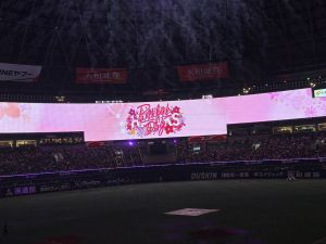 IMG_0661.jpeg