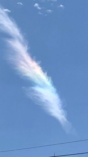 ブログ　彩雲.jpg
