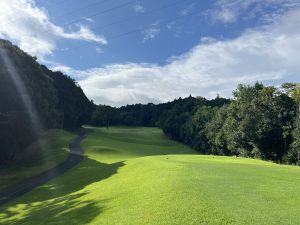 IMG_8029.JPG