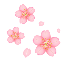 お花見の季節になりました！