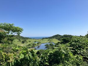 IMG_9899.JPG