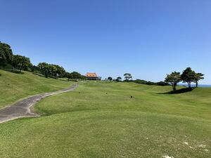 IMG_9901.JPG