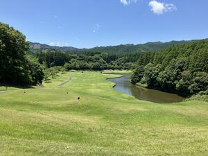 IMG_9908.JPG