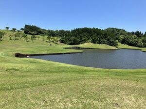 IMG_9910.JPG