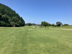 IMG_9915.JPG