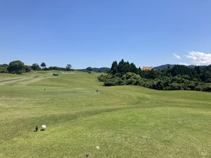 IMG_9917.JPG