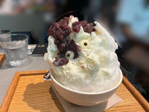 IMG_1845.JPG