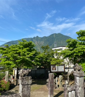 IMG_1299.PNG