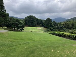 IMG_2770.JPG