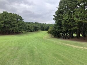 IMG_2779.JPG