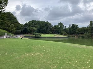IMG_2790.JPG