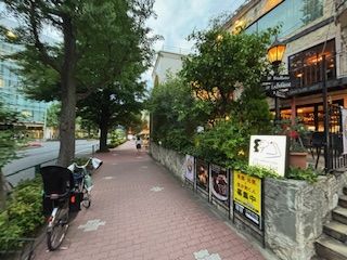 IMG_1550 (2).JPG